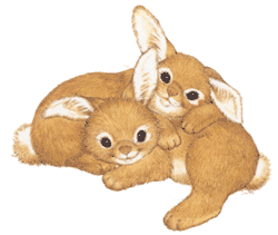 2-bunnies